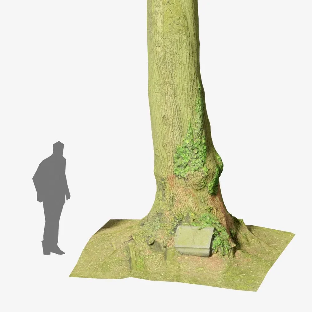 Huge Oak Tree With Gravestone Pbr Scan
