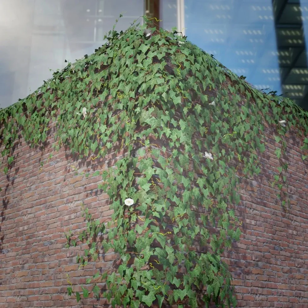 Ivy Creeper Big Wall L 01