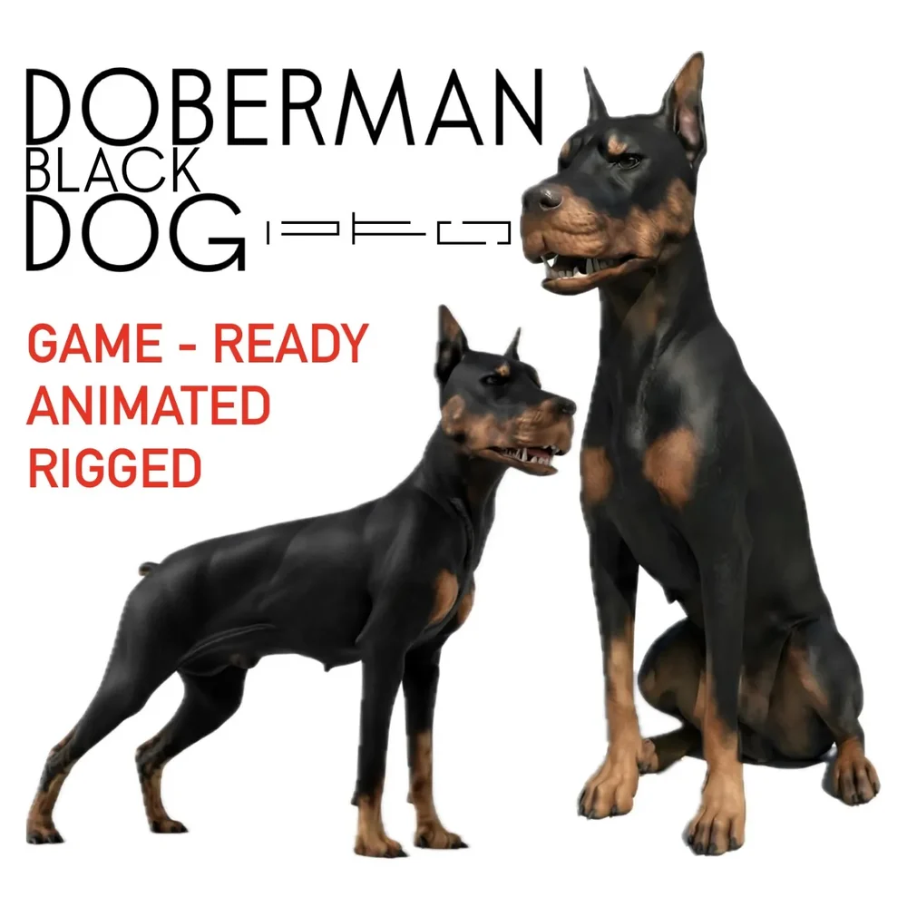 Black Doberman Dog