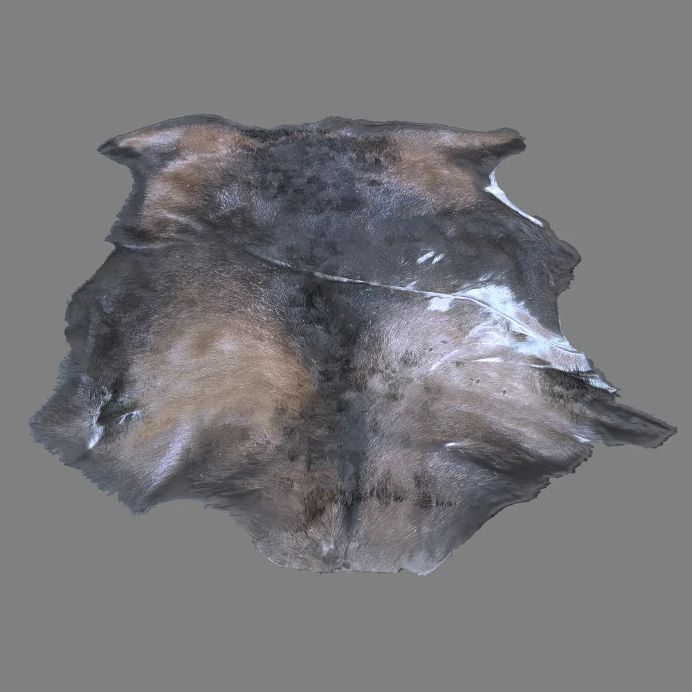 Boar Pelt With Hair Strands