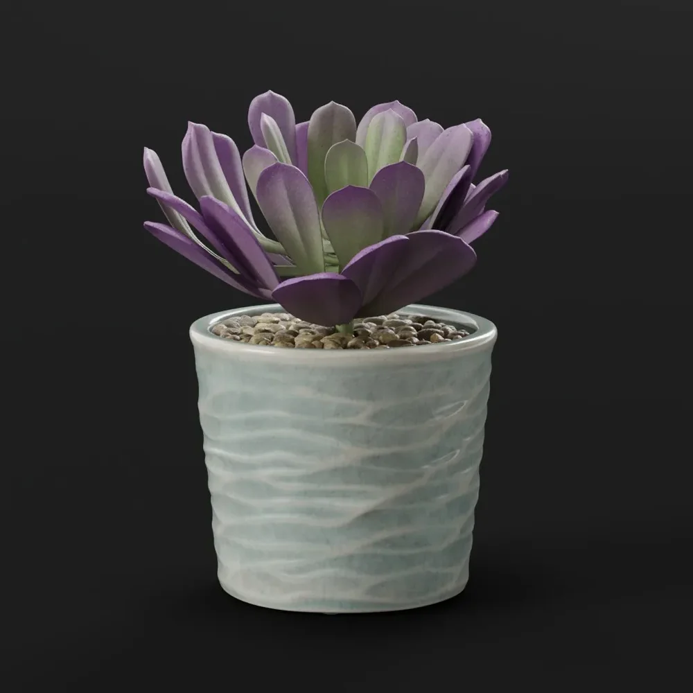 Succulent Plant In Ceramic Pot