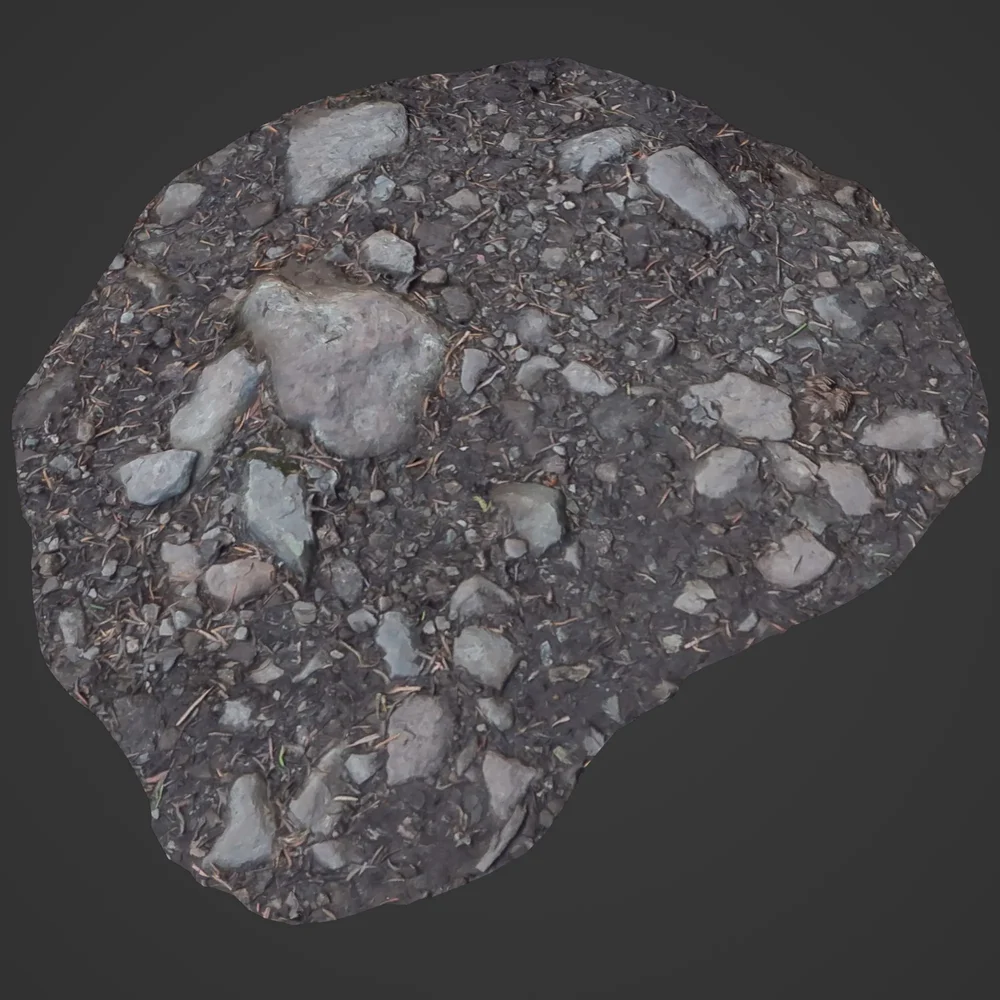 Low Poly Ground Forest Rock