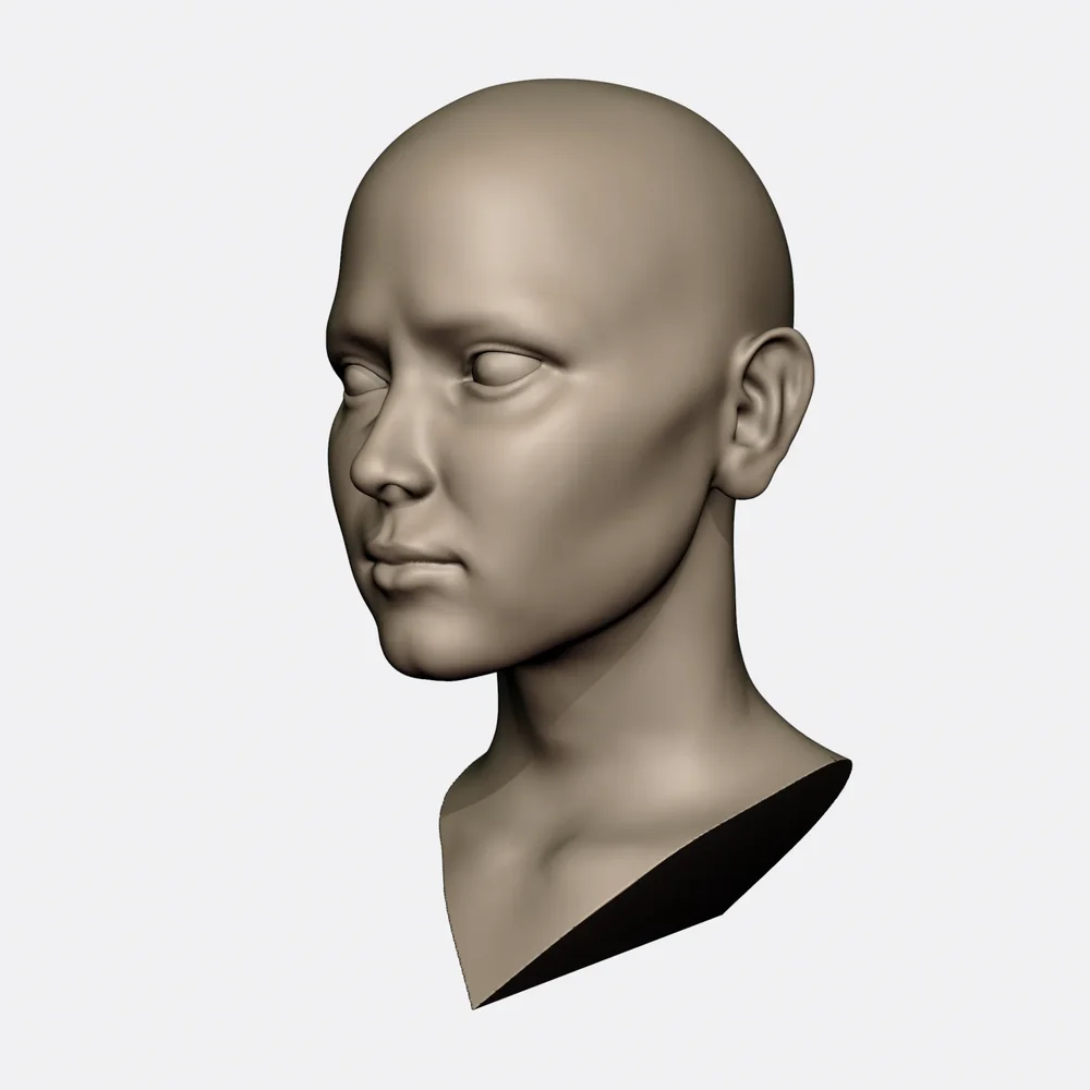 Female Head - Eurasian