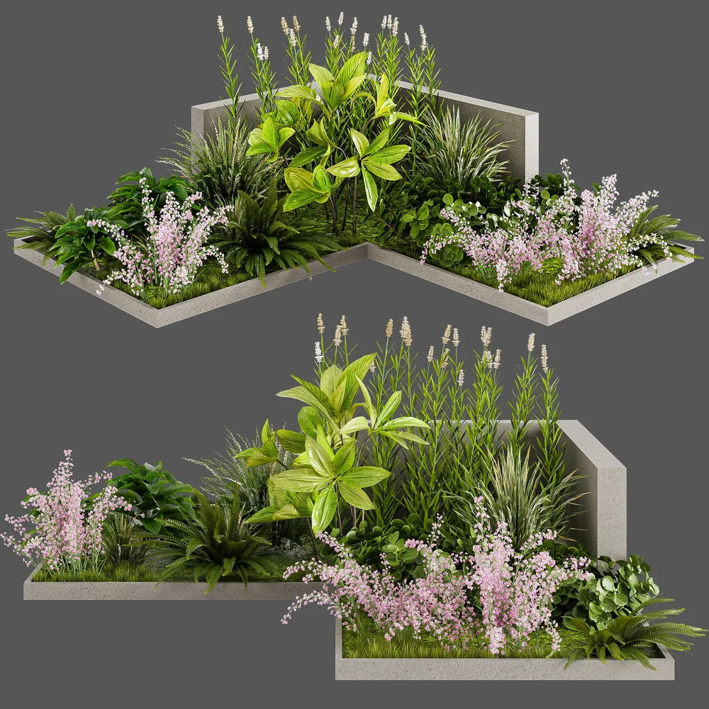 Garden Plants B