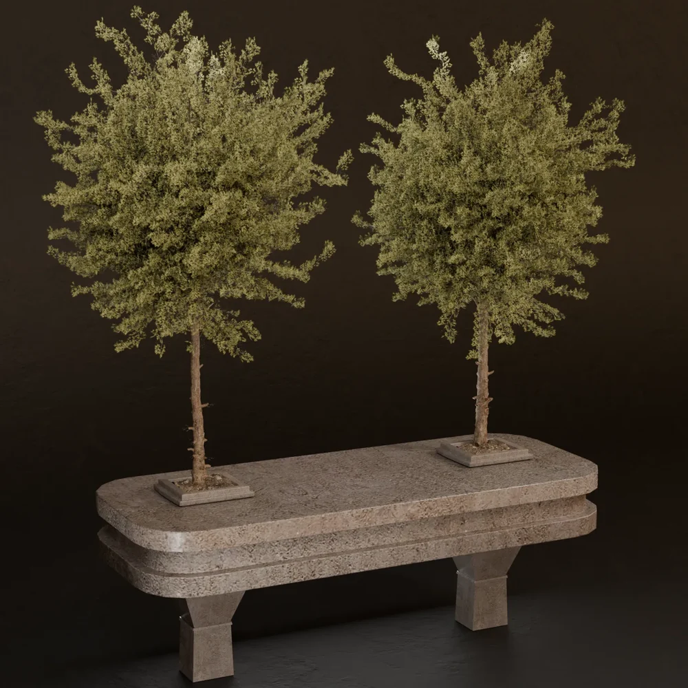 Sj- Sculpted Nature Duality