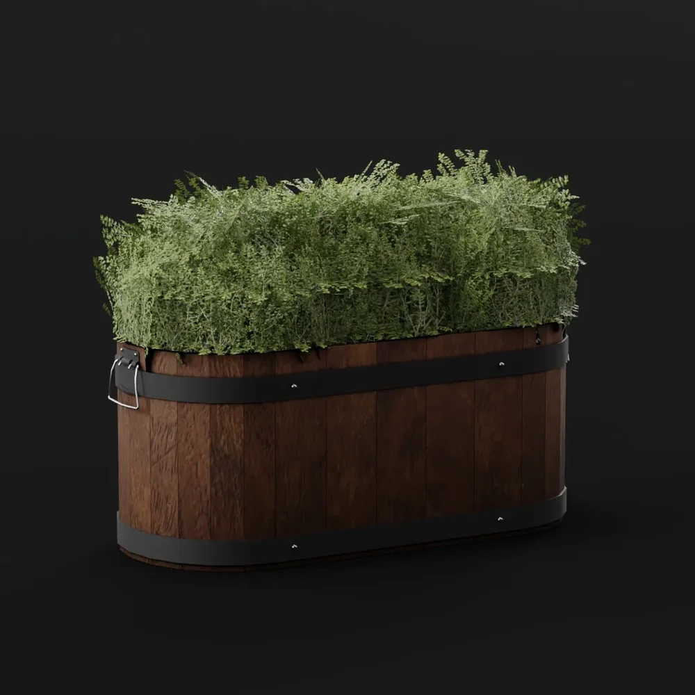 Boxwood Bush Long Pot Lrg