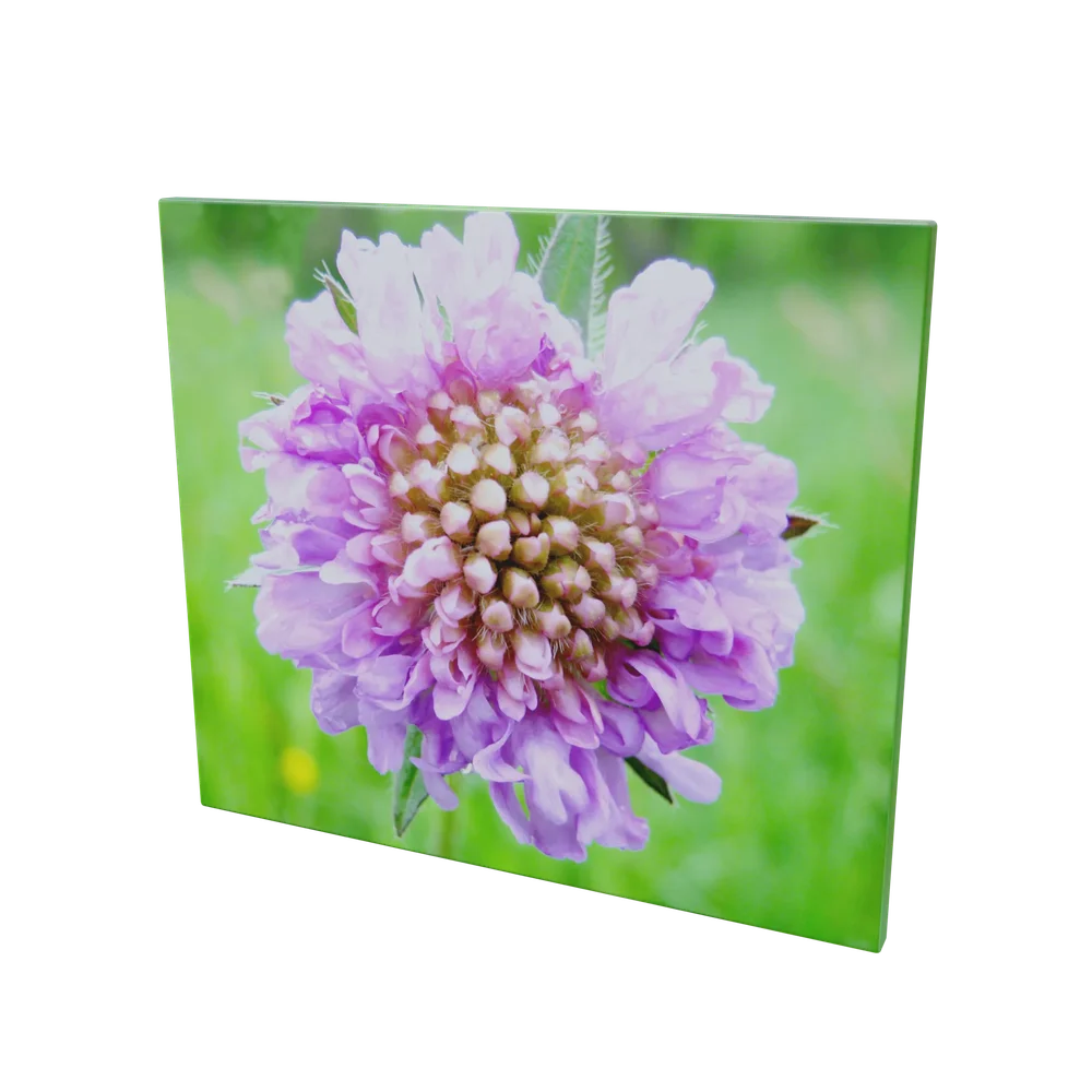 Flower Picture