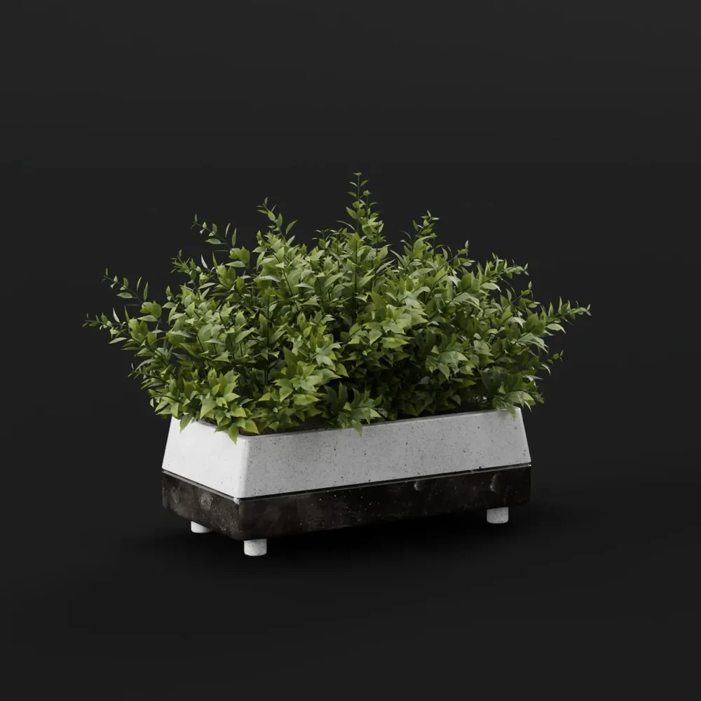 Greenery In Modern Planter