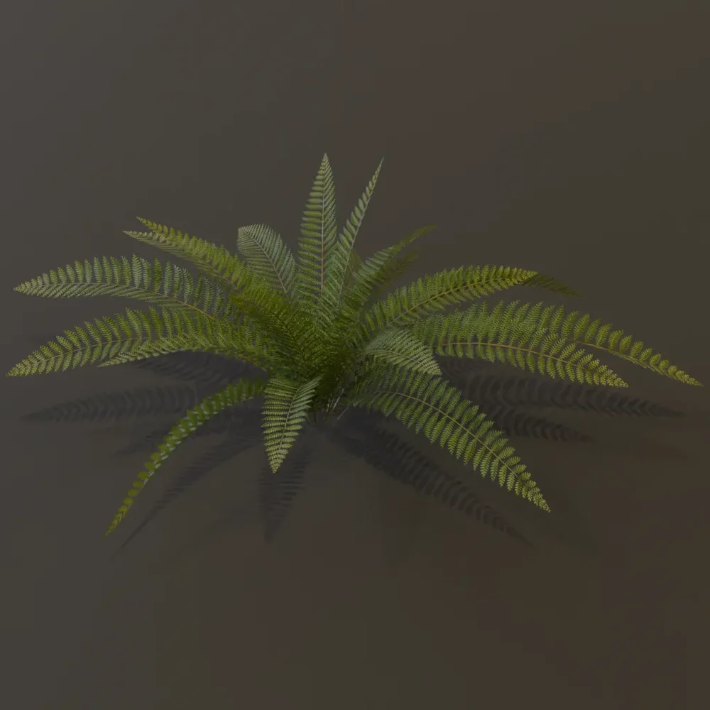 Wild Fern Medium