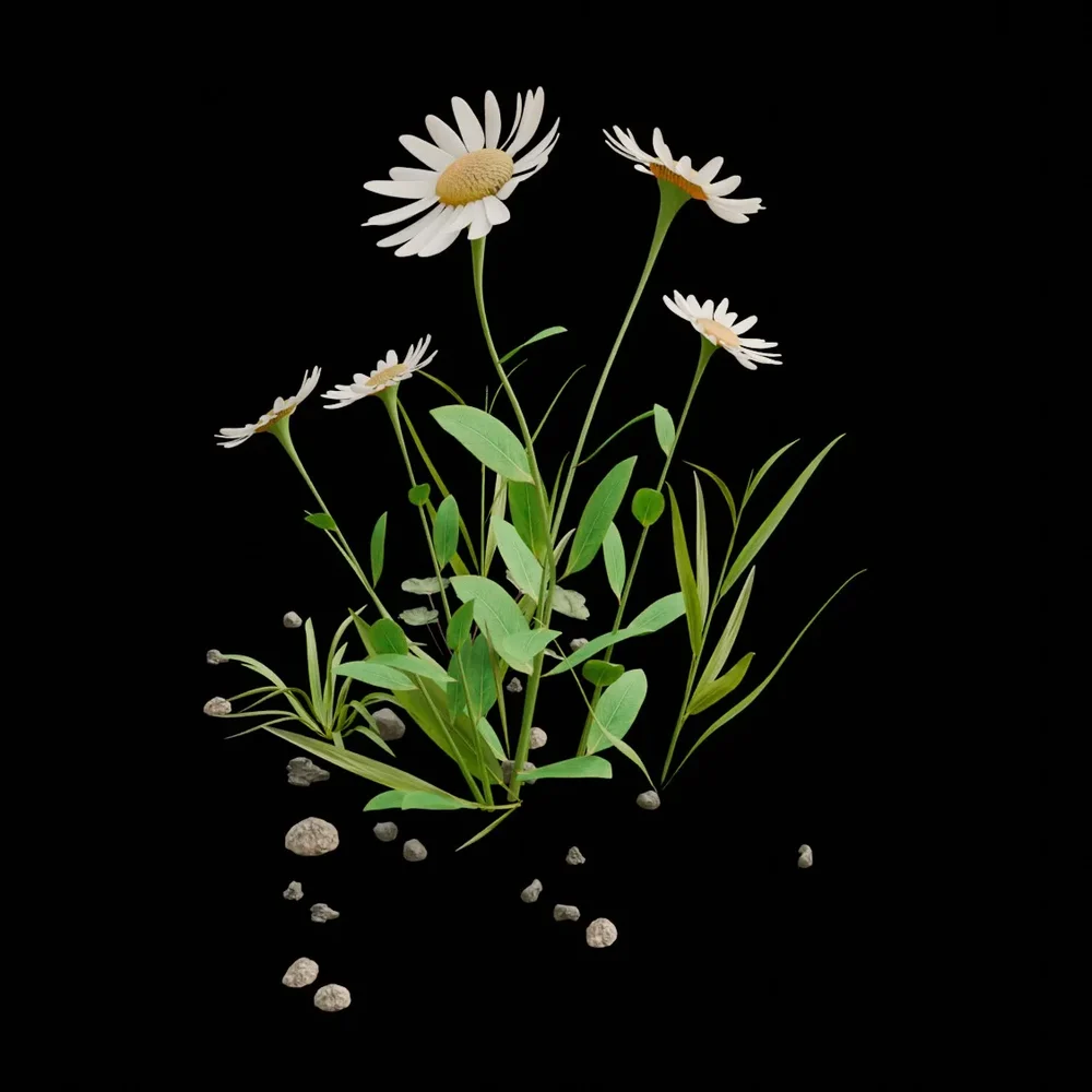 Outdoor Flower
