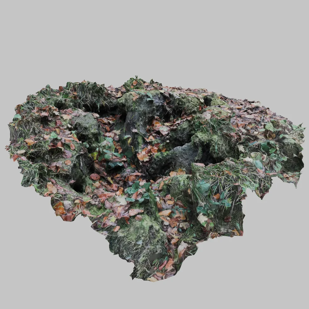 Photoscan Forest Ground Hole