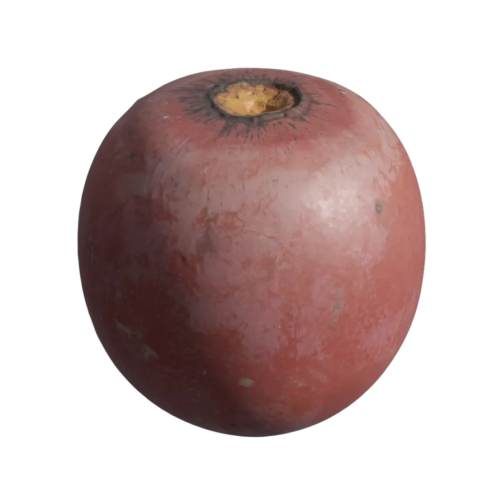 Persimmon