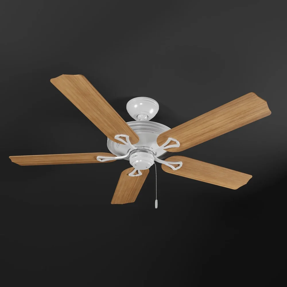 Ceiling Fan