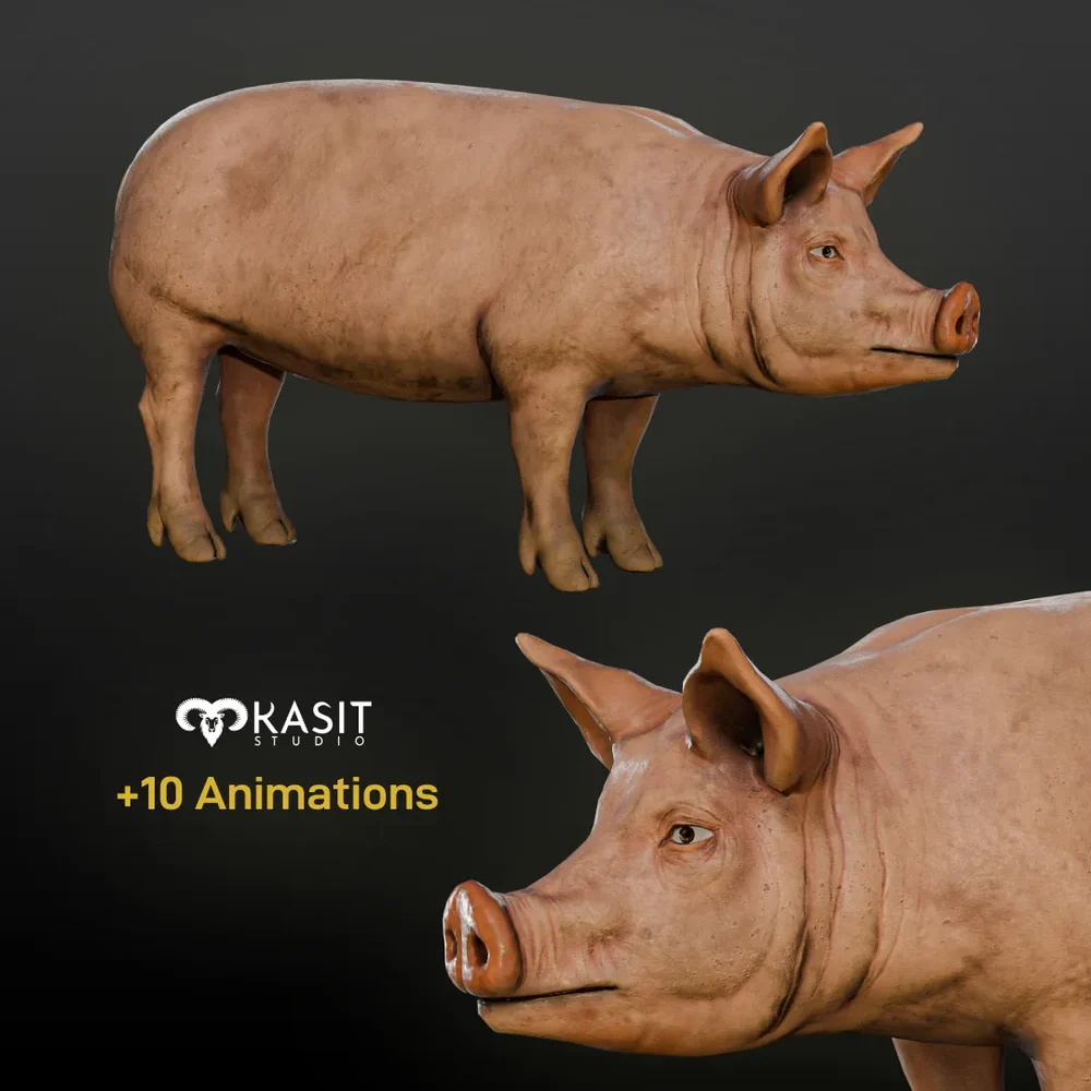 Pig Animated Rigged