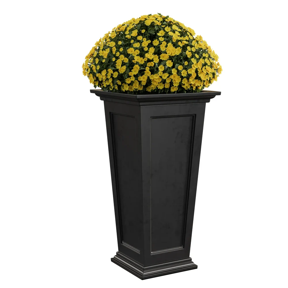 Potted Mums In Urn Planter