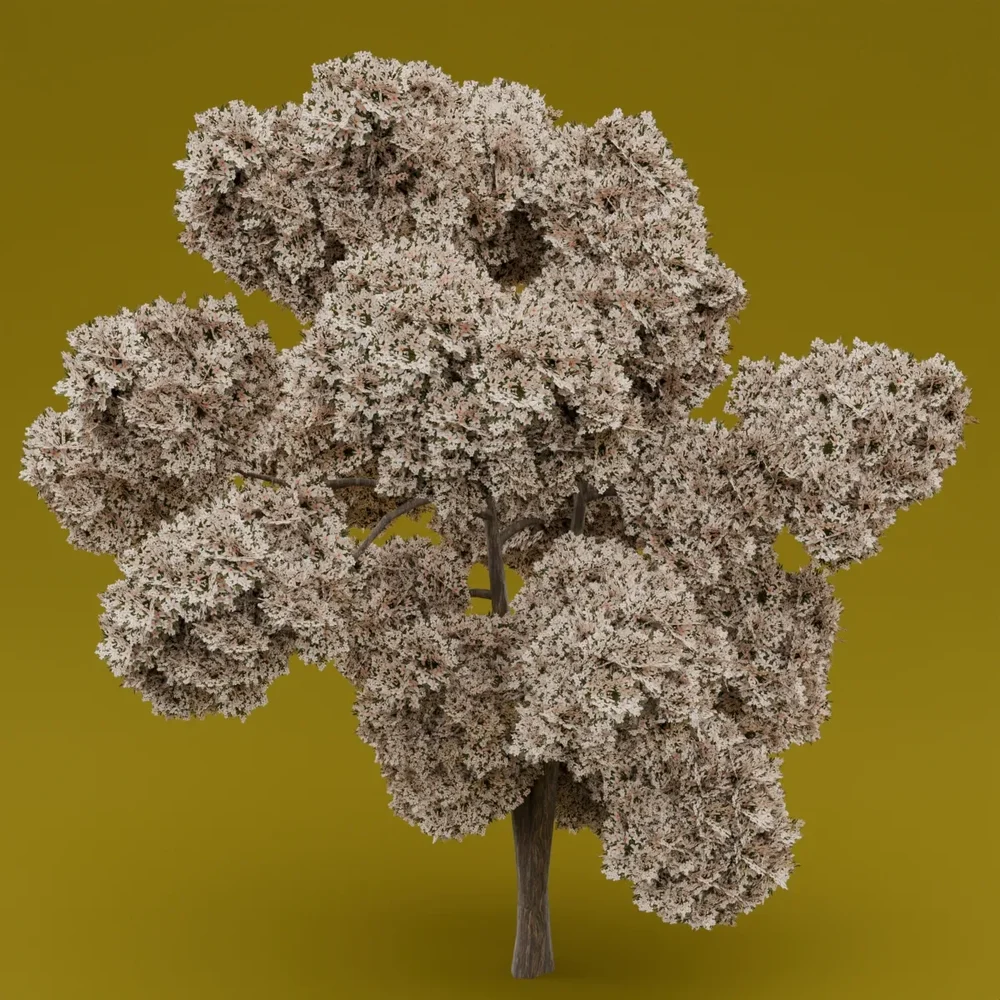 White Flowered-Light Green Leaved Tree