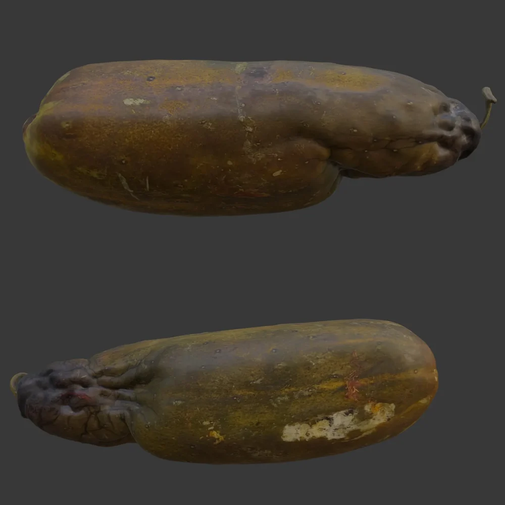 Papaya Scan