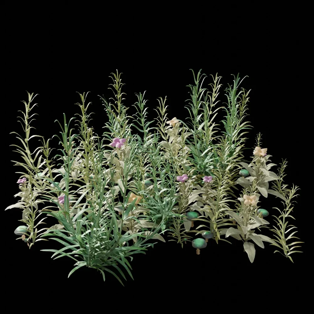 Garden And Yard Plants