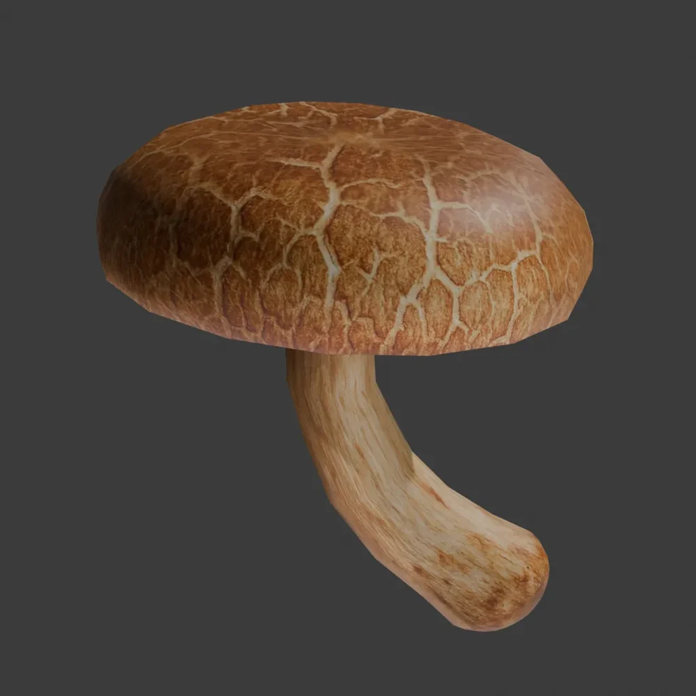 Shiitake