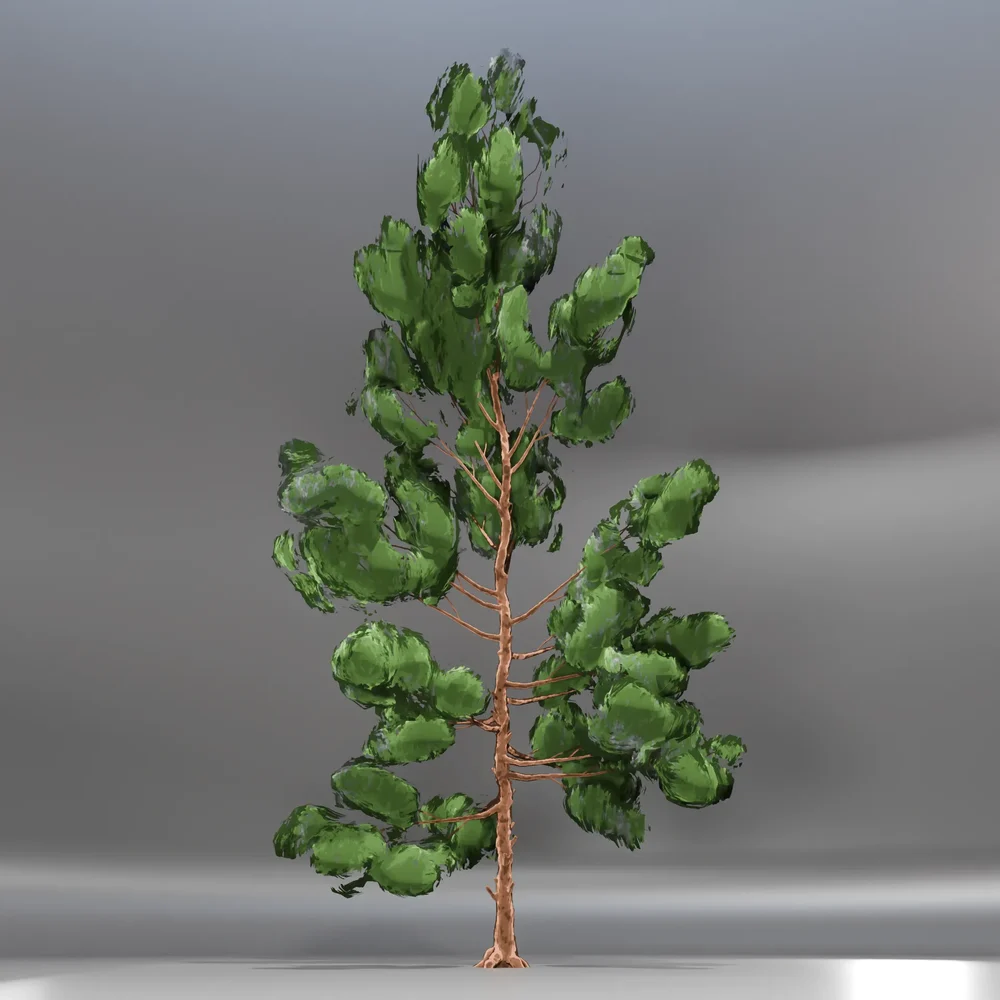 Pine Toon Tree