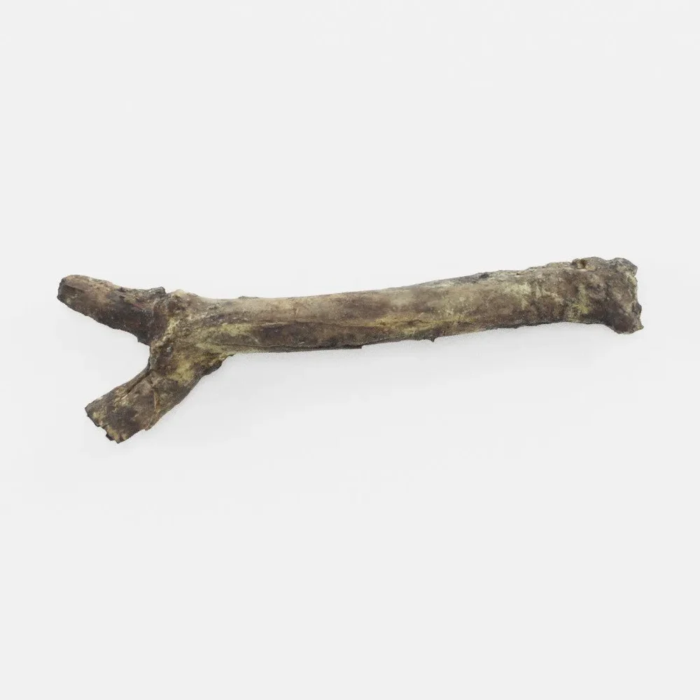 Small Piece Of Wood