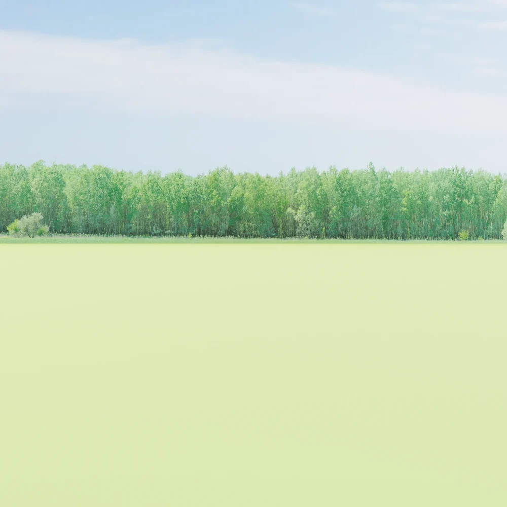 Greenleaf Treeline 011 Backdrop