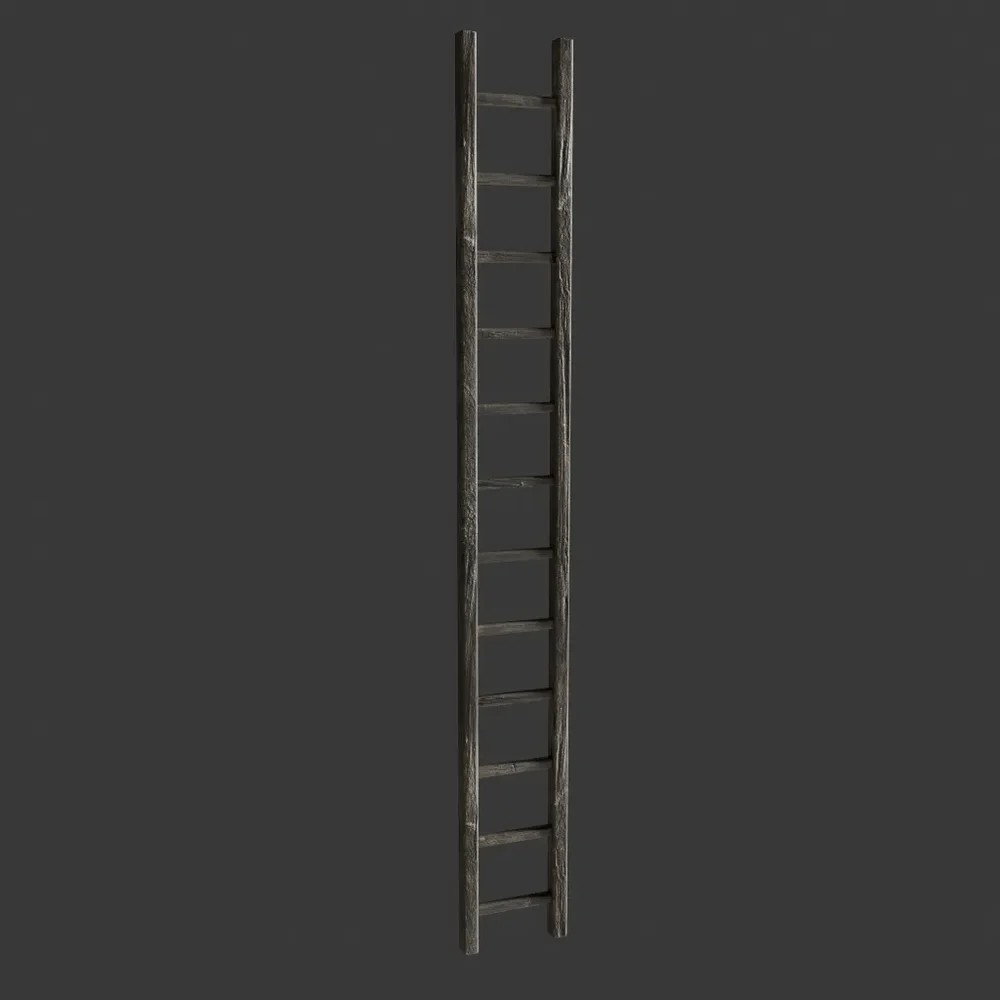 Old Wooden Ladder