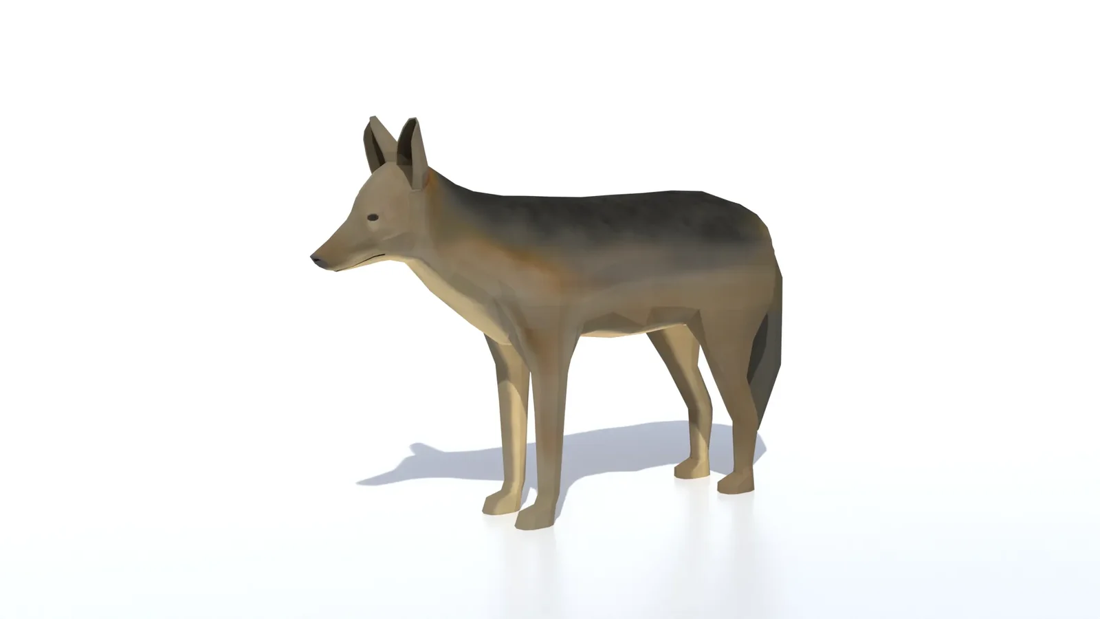 Low Poly Jackal