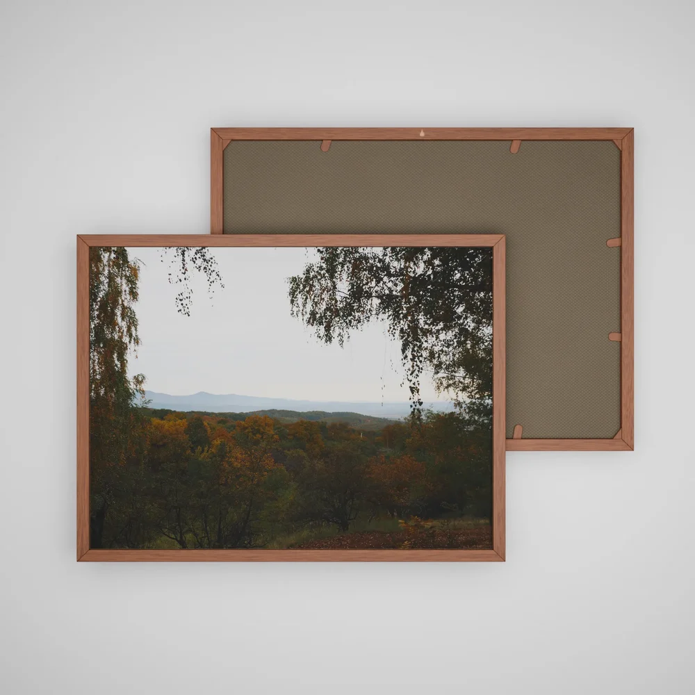 Autumn Colection Picture