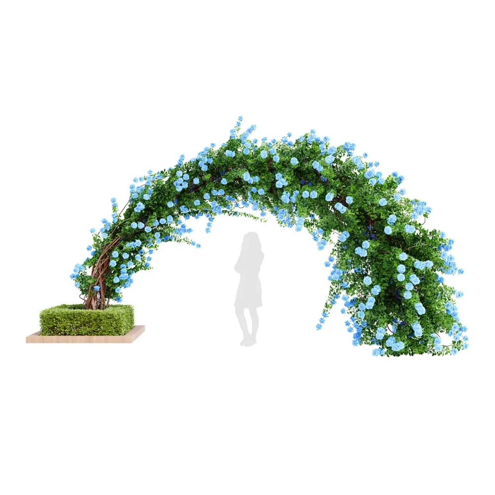 Climbing Roses Garden Bow Grow Blue