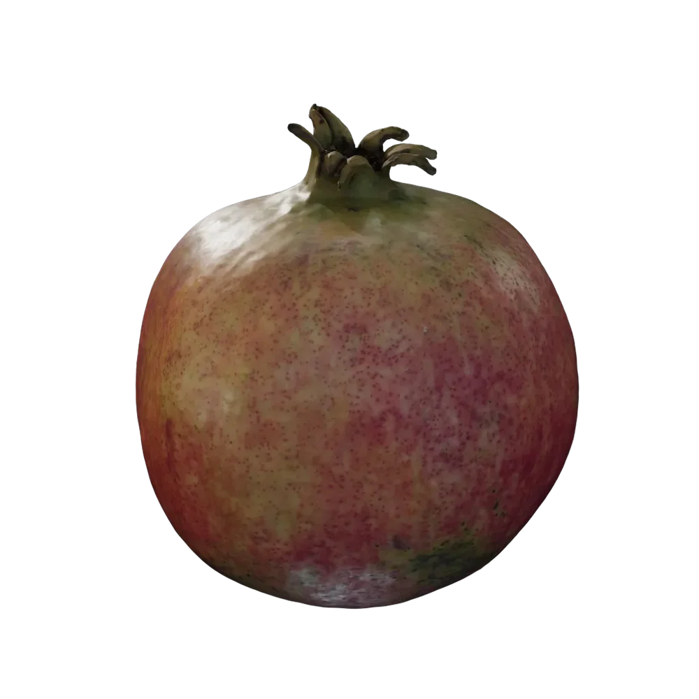 Punica Granatum