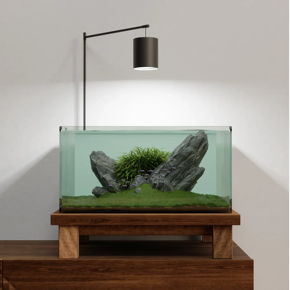 Iwagumi Nano Tank
