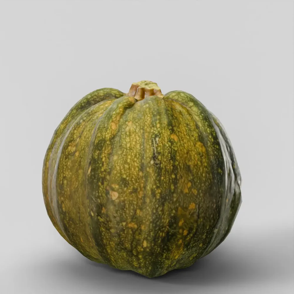 Fresh Green Pumpkin