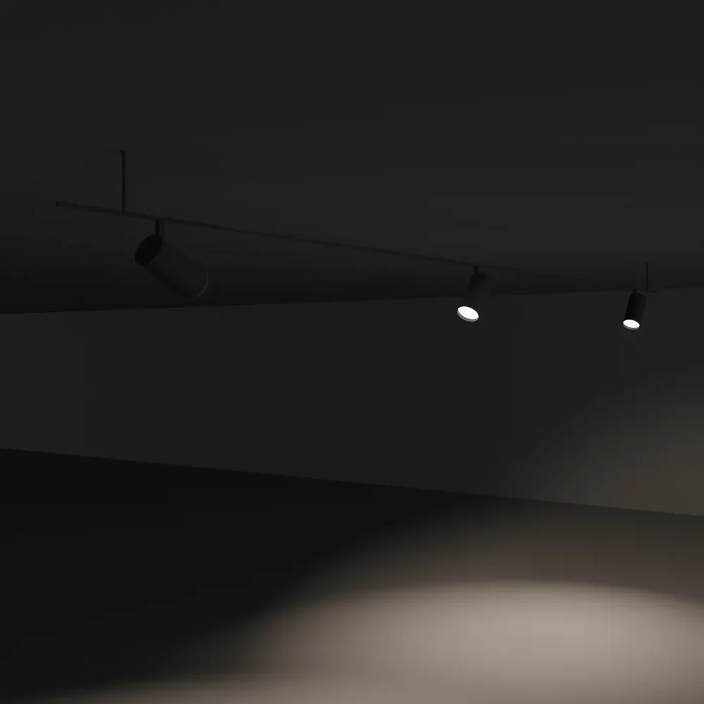 Ceiling Spotlight