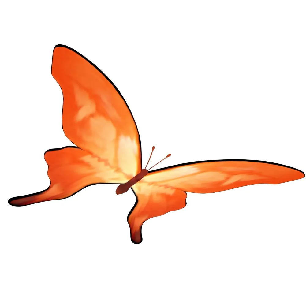 Butterfly 01