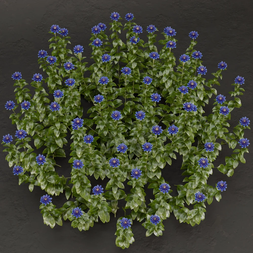 Sj-Lush Flower Bush