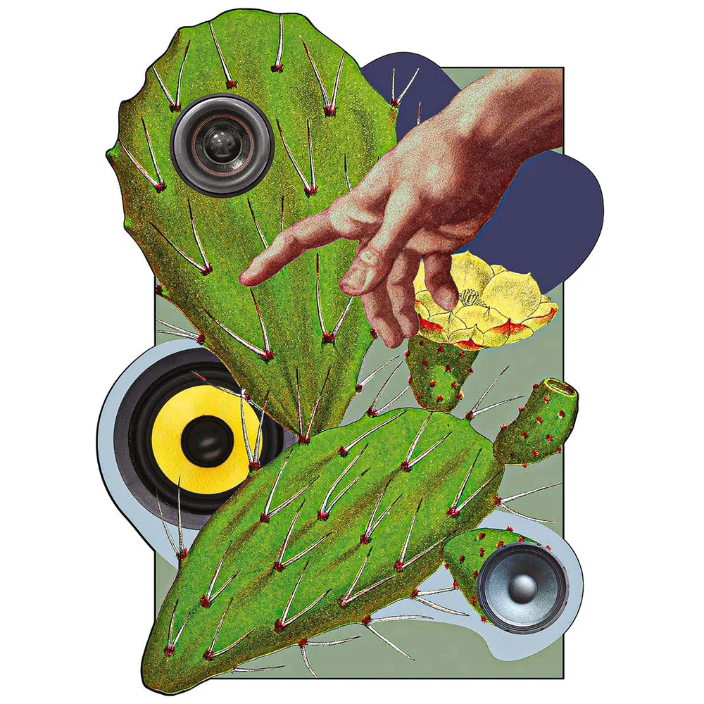 Funky Green Cactus Carpet