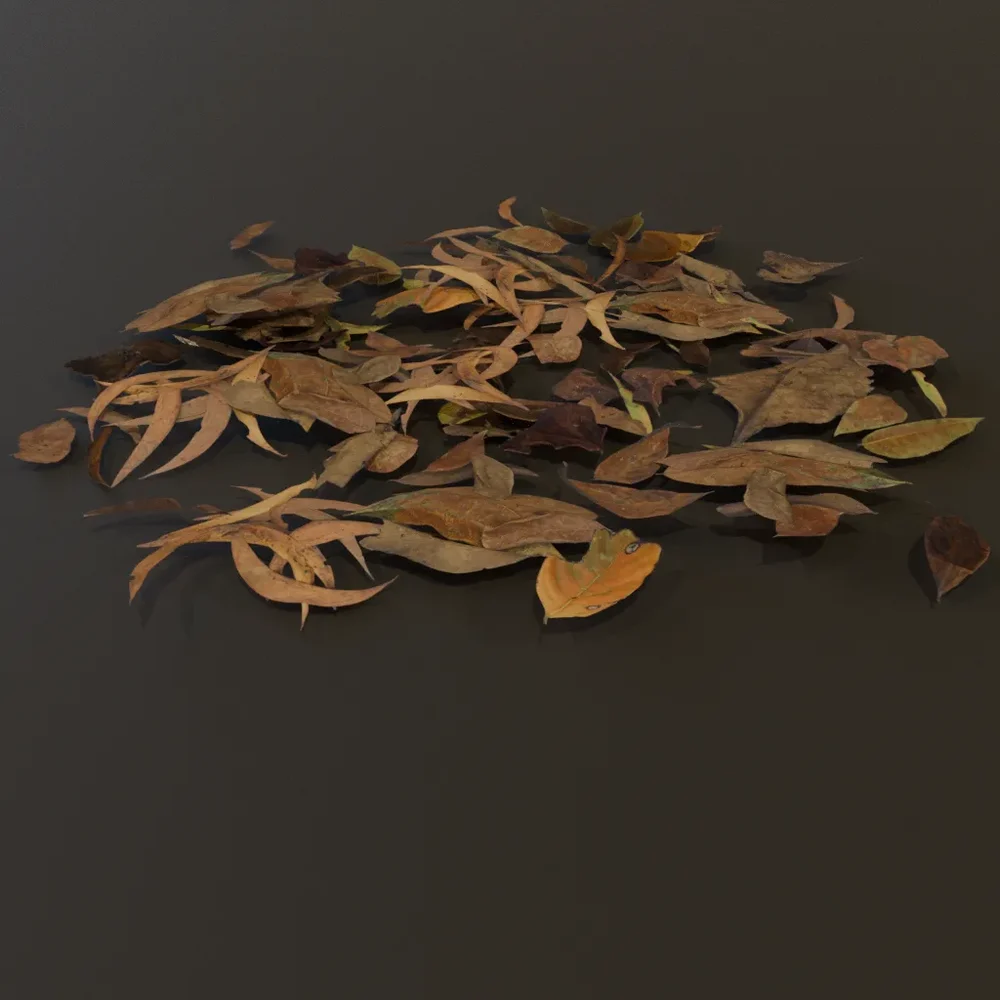 Debris Dry Leaves Pile Med