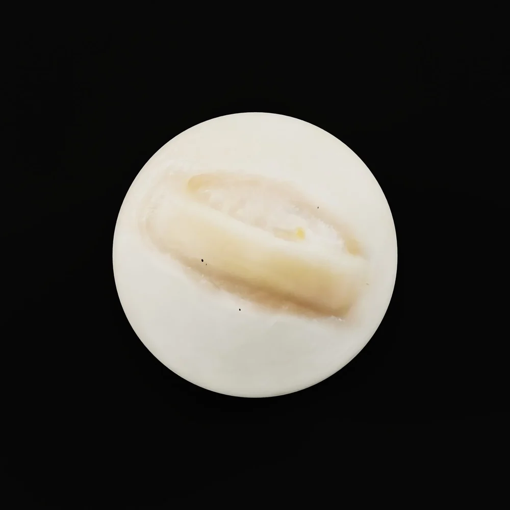 Filipino Kakanin White Puto Cheese