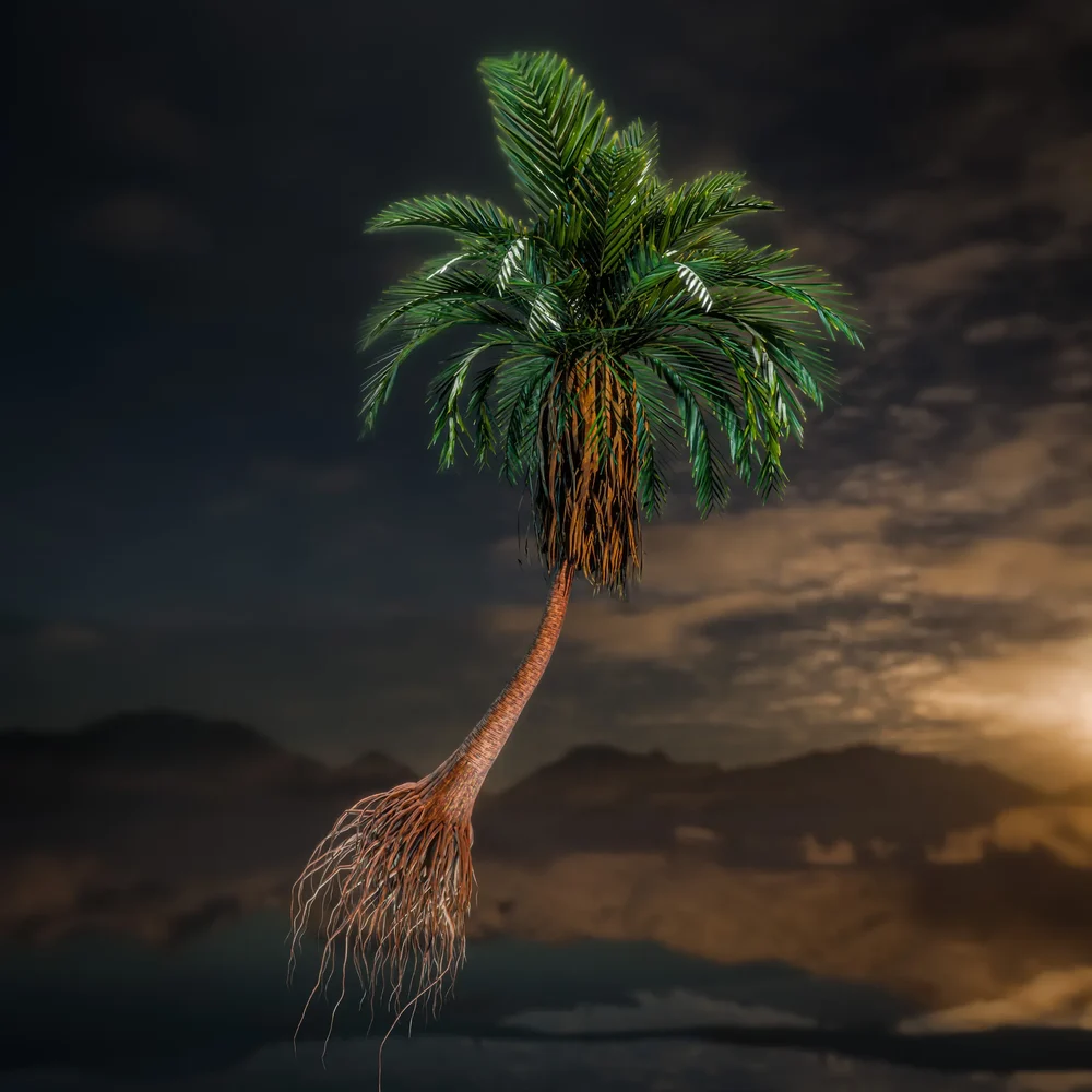 Realistic Palm Tree