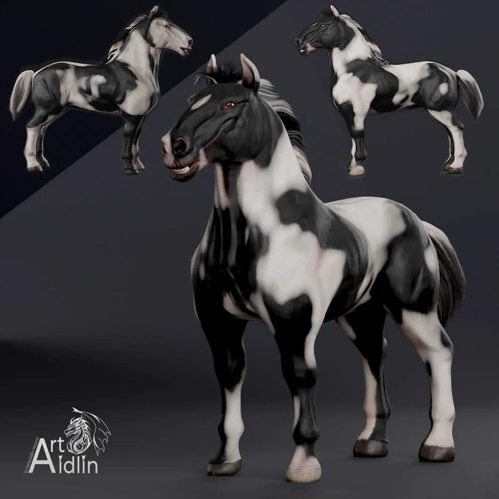 Draft Horse. Tinker, Gypsy Vanner Breed