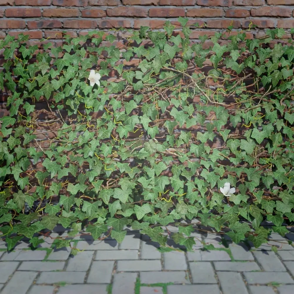 Ivy Creeper Edge 2m 02 02