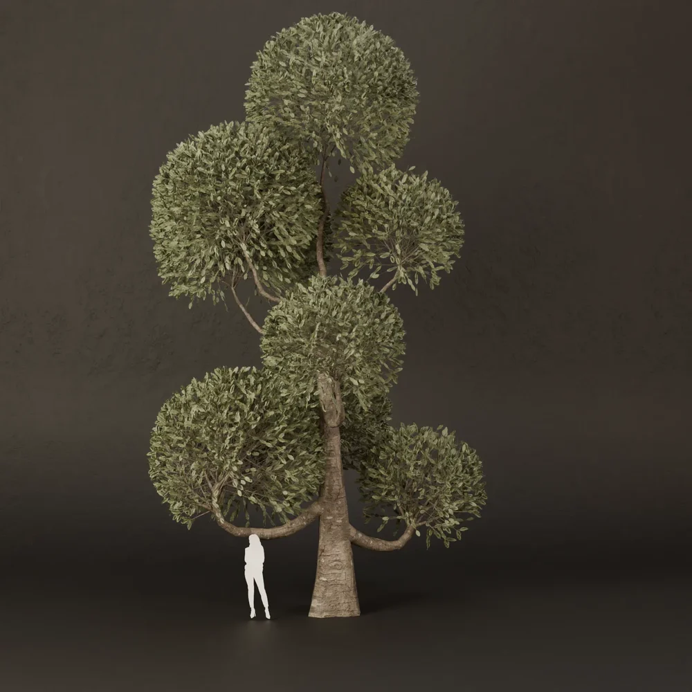 Sj-Ornamental Tree Dome Style