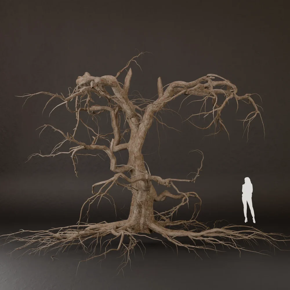 Sj-Realistic Dead Tree Model