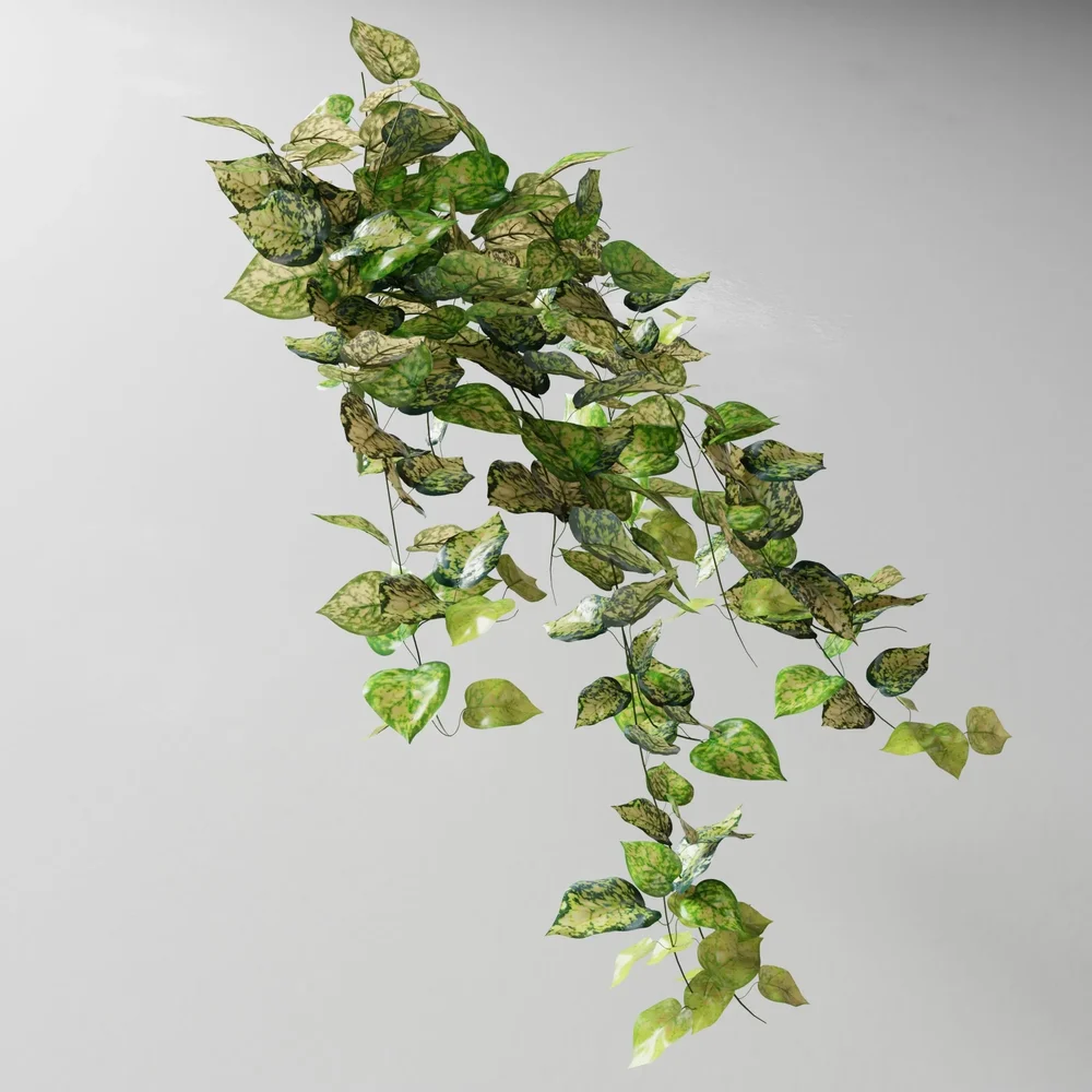 Artificial Tendril Potosovec Mottled V2