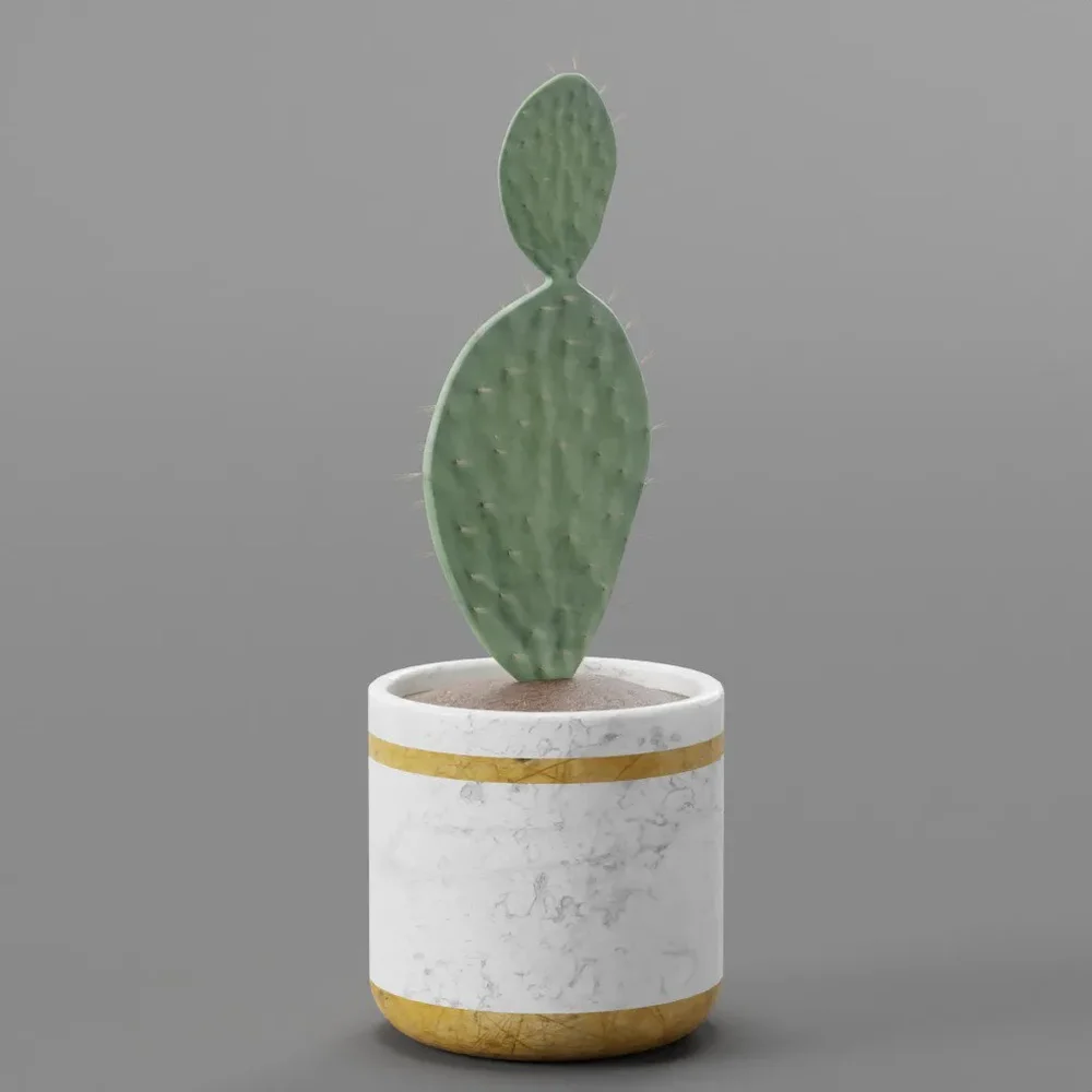 Cactus Marble Pot With Brass