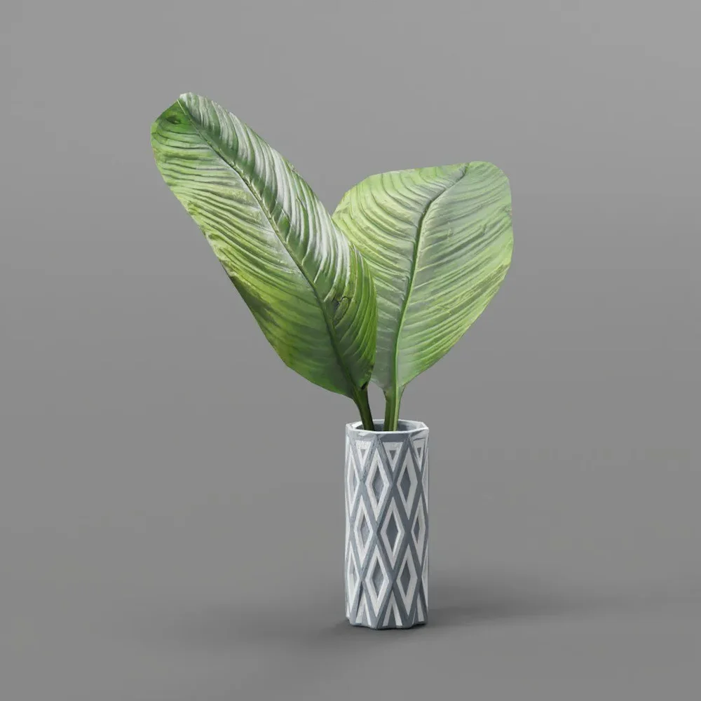 Banana Leaves In A Zigzag Vase
