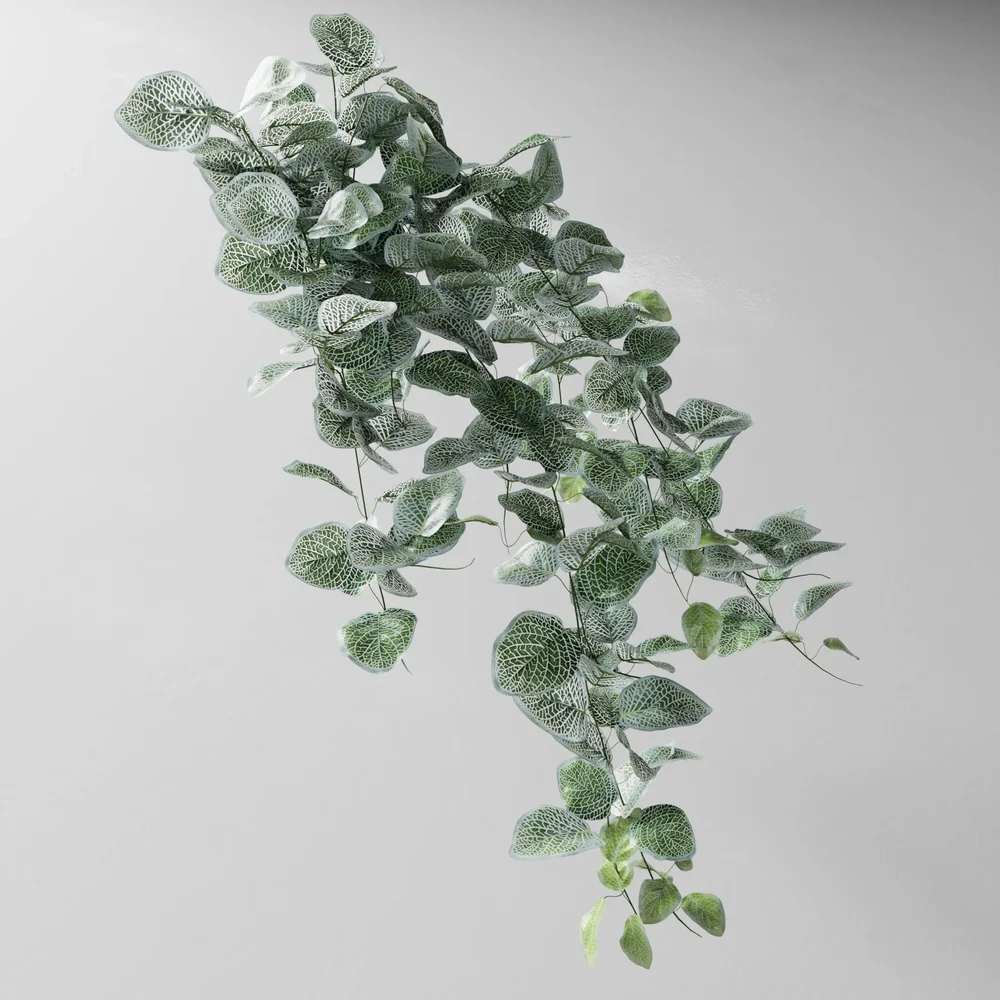 Artificial Tendril Fitonia White V2