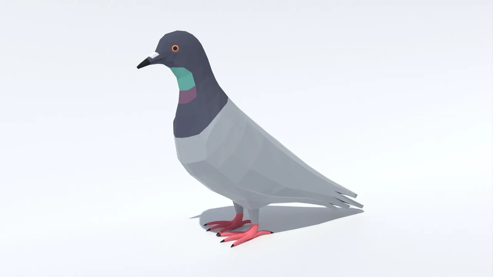 Low Poly Pigeon