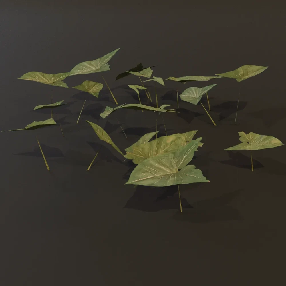 Ground Cover Ear Leaves Gn